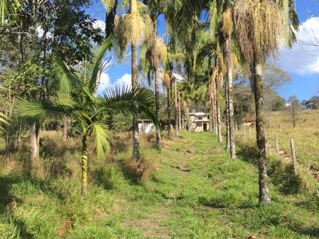 Chácara para Venda em São Roque - 5