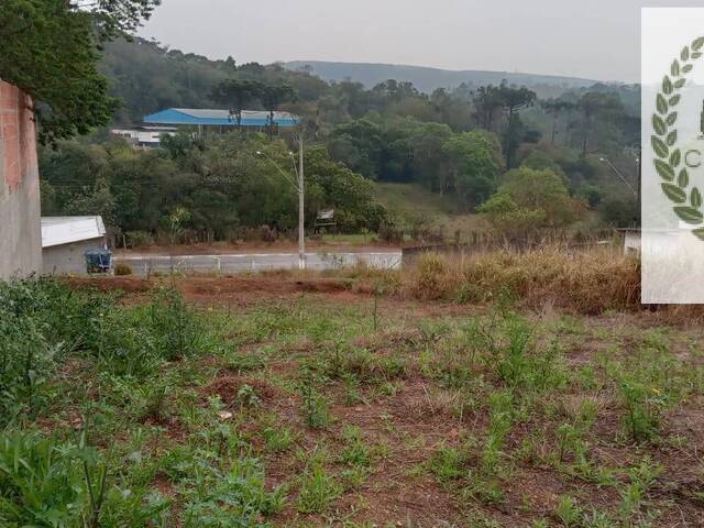#33 - Área para Venda em Mairinque - SP - 2